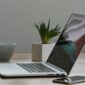 Free Minimalist home office desk with laptop, smartphone, and plant for a modern work environment. Stock Photo